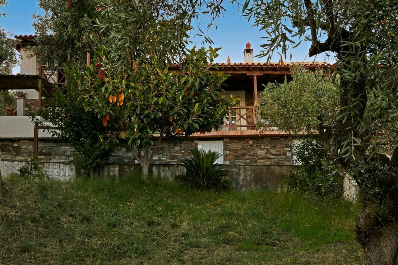 Skiathos Villa Ira Koukounaries Extérieur photo